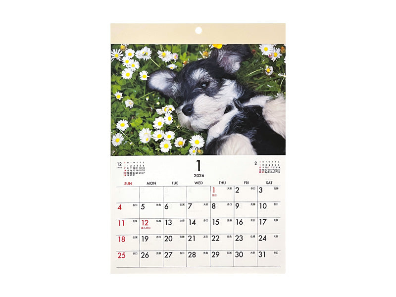 ２０２６年フォトカレンダー（Ａ４、犬）