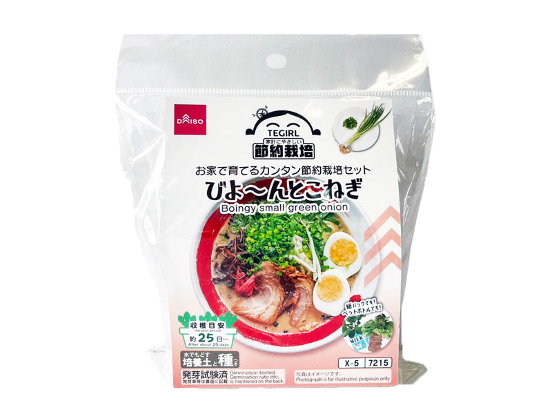 栽培セット　びよーんとこねぎ