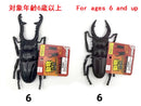 動物フィギュア（クワガタＡ）