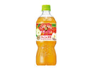 サントリー　クラフトボス　世界のＴＥＡ　りんご＆洋梨　ゴールドアップルティー　６００ｍｌ