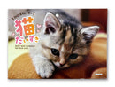 ２０２７年壁掛けカレンダー（猫だいすき）