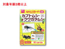 ものしりカード（カブトムシ・クワガタムシ）