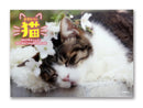 ２０２７年壁掛けカレンダー（かわいい猫）