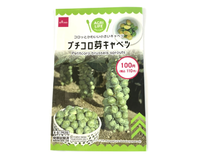 プチコロ芽キャベツ１個入