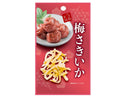 山村食品　ネイチャーズ　梅さきいか　１３ｇ
