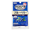 かんでたべるサプリメント　ブルーベリー　２０粒
