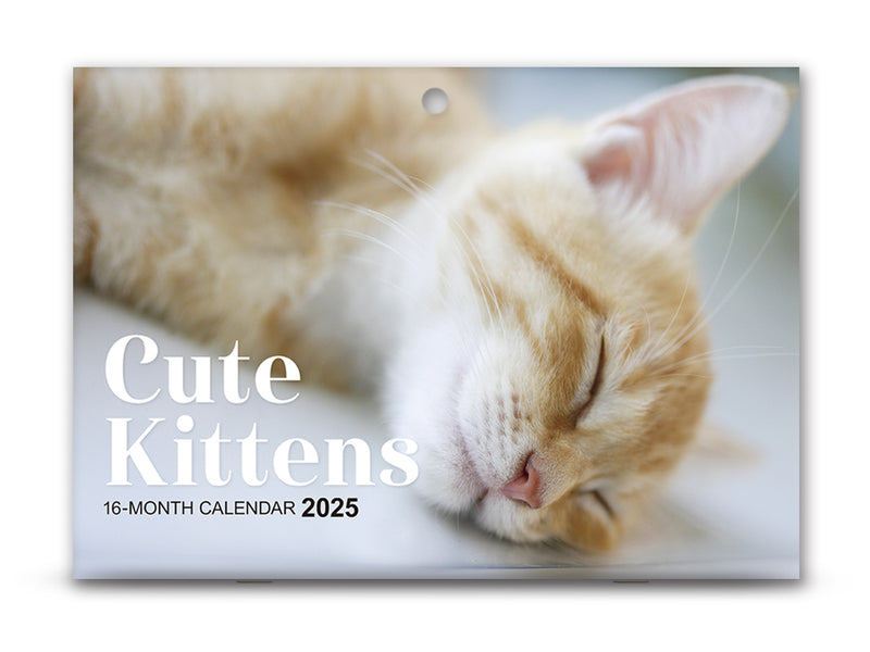 ２０２５年壁掛けカレンダー（Ｂ４、Ｃｕｔｅ　Ｋｉｔｔｅｎｓ）