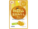 カネカ　和歌山温州みかんグミラブレ乳酸菌入り　３０ｇ