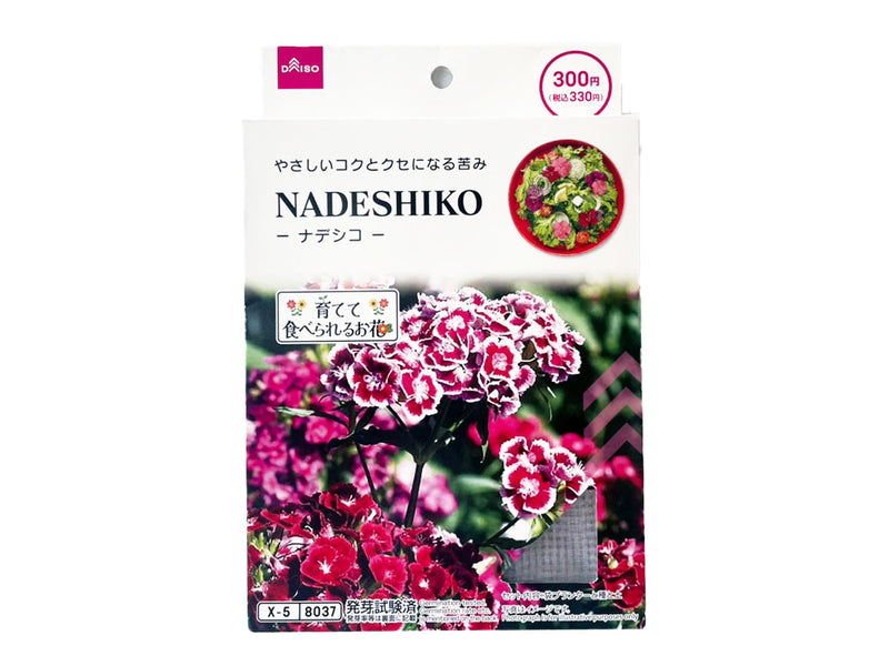 栽培セット　ナデシコ
