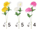 てまり菊