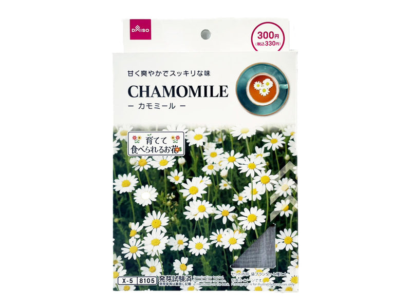 栽培セット　カモミール