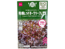有機レッドオークリーフレタス