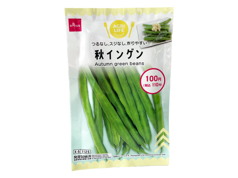 秋インゲン