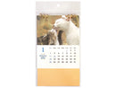 ２０２６年フォト卓上Ｗリングカレンダー（Ａ６タテ、猫）