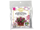 栽培セット　ＢＡＢＹあさがお