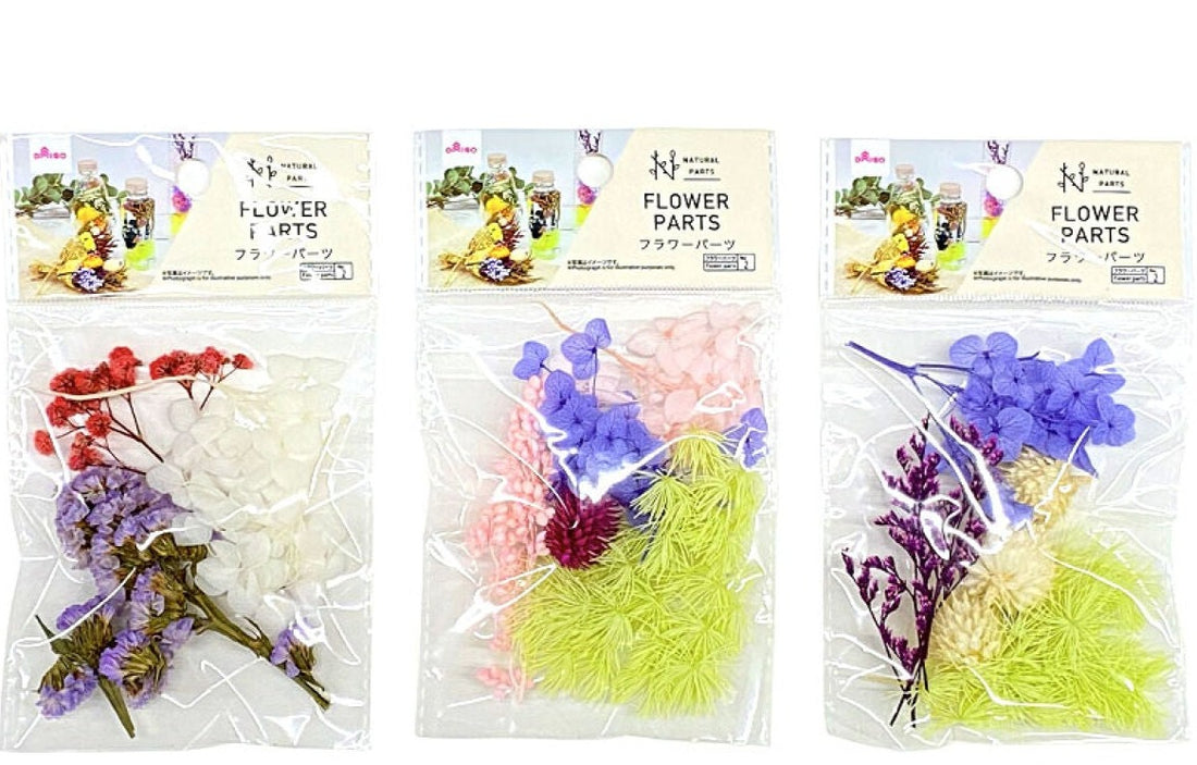 ナチュラルパーツ（フラワーパーツ、A） - 100均 通販 ダイソーネット
