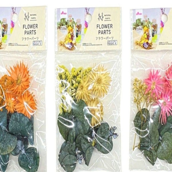 ナチュラルパーツ（フラワーパーツ、C） - 100均 通販 ダイソーネット