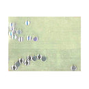 つけまつげ用ジュエリー　オーロラ