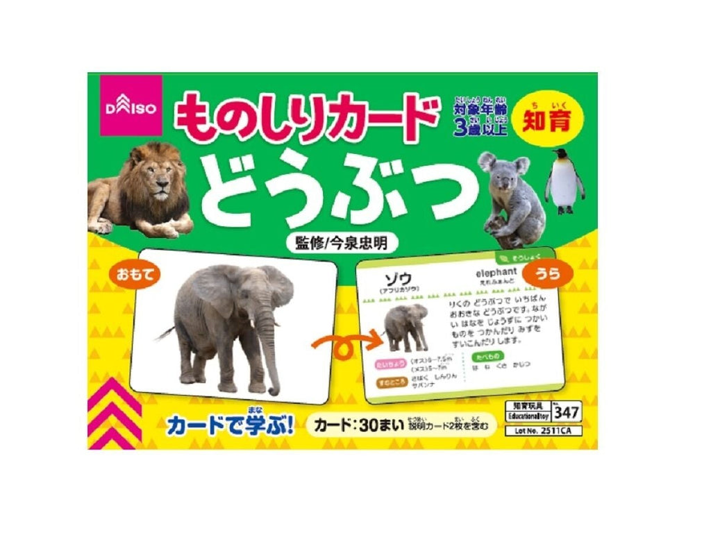 ダイソー ものしりカード 動物 知育 - その他