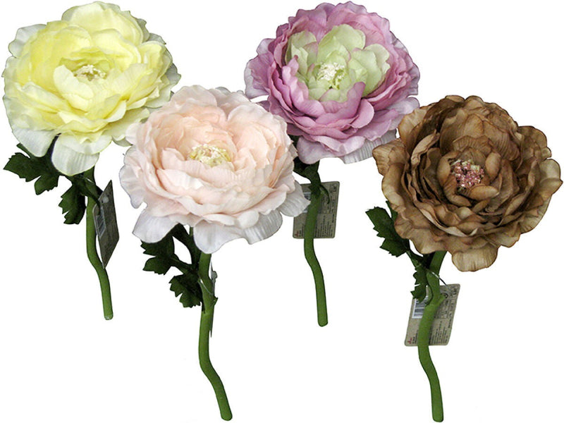 ラナンキュラス（ヌーディー）