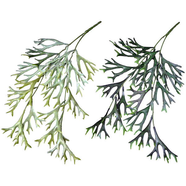 ビカクシダバイン - 100均 通販 ダイソーネットストア【公式】