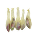 コンフェッティバルーン（約１２インチ、５個、雲）