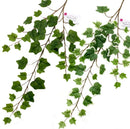 グリーンバイン