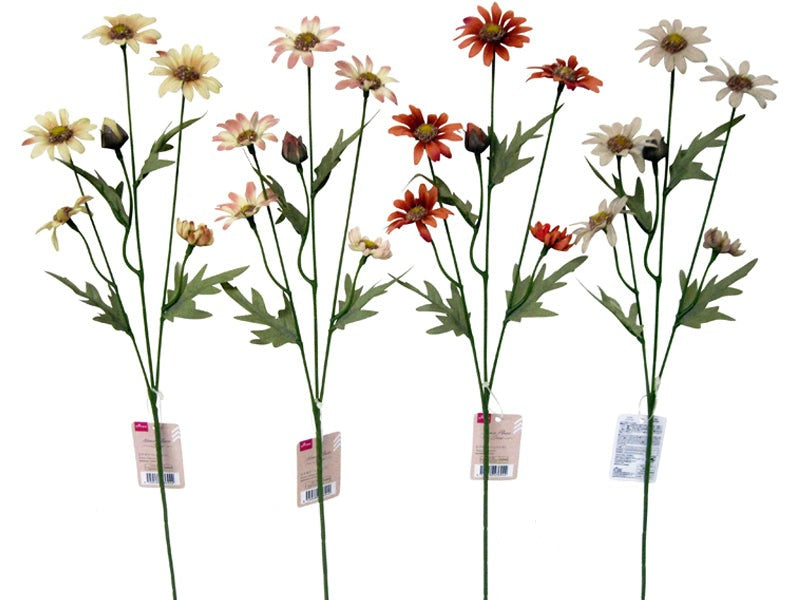 ヒナギク（ニュアンス）