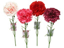 インテリアカーネーション