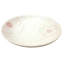 美濃焼　中皿　粉引桜