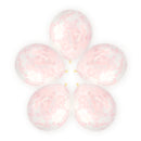 コンフェッティバルーン、５個（花紙吹雪）