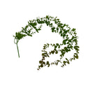 グリーンリーフバイン（１００ｃｍ）