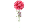 インテリアカーネーション（ピンク）