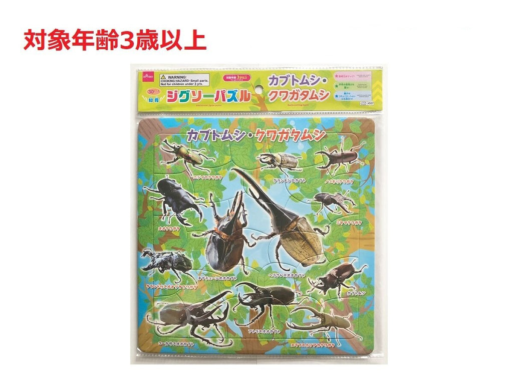 虫かご 大 昆虫 飼育ケース 虫取り プラスチックケース クワガタ