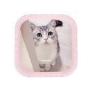 紙皿（もちまる、スクエア、５枚）