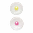 丸型シャンプーブラシ／２Ｐ