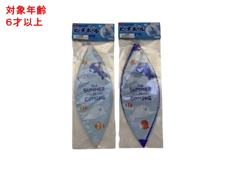 ビーチボール（夏の海）