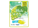 カネカ　ＪＡ岡山マスカットグミラブレ乳酸菌入　４０ｇ