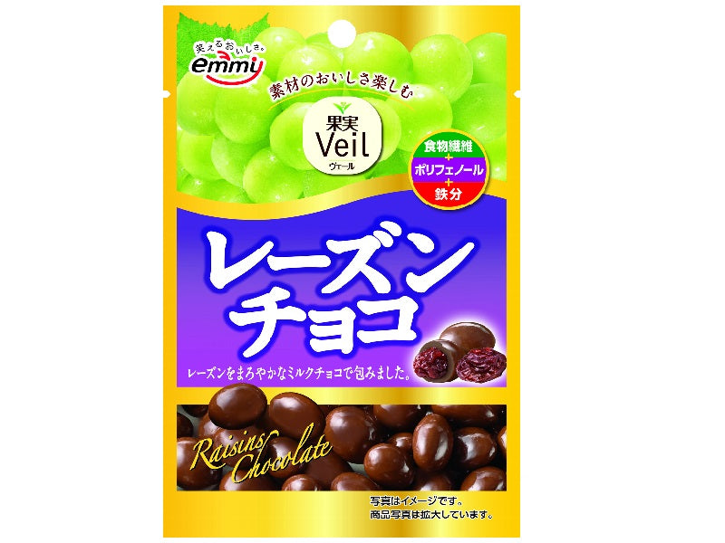 正栄 果実Ｖｅｉｌ レーズンチョコ ４１ｇ