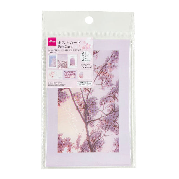 原産国：中国 材質：本体：紙 商品サイズ：10cm×14.8cm×0.03cm 内容量