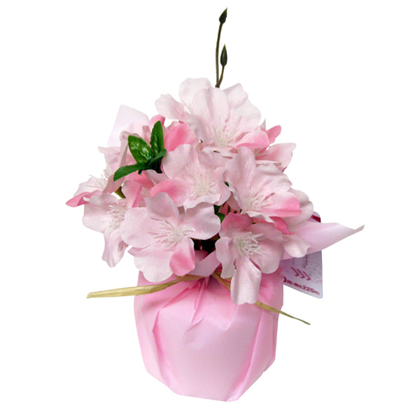 桜埜様 ポット 【公式通販】