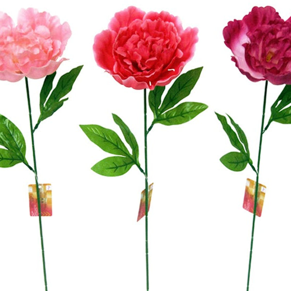 bfc659f24fb1b1730470bd00d6c89a  