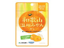 カネカ　ＪＡ和歌山温州みかんグミラブレ乳酸菌入　４０ｇ